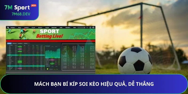 Mách bạn bí kíp soi kèo hiệu quả, dễ thắng