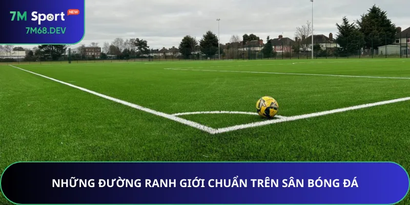 Những đường ranh giới chuẩn trên sân bóng đá